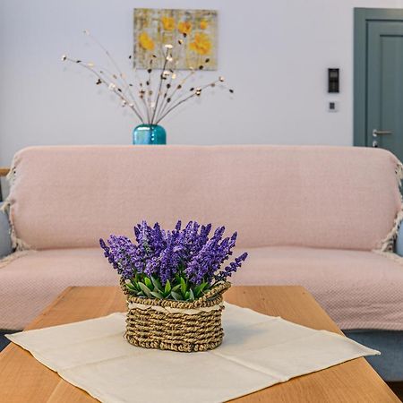 Kronstadt Olarilor Apartment Braşov Eksteriør bilde